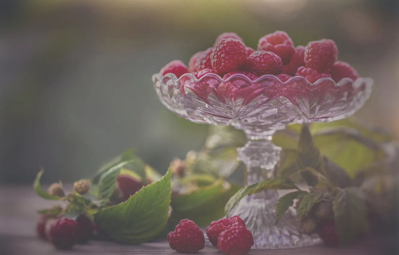 Photo wallpaper berries, raspberry, vase