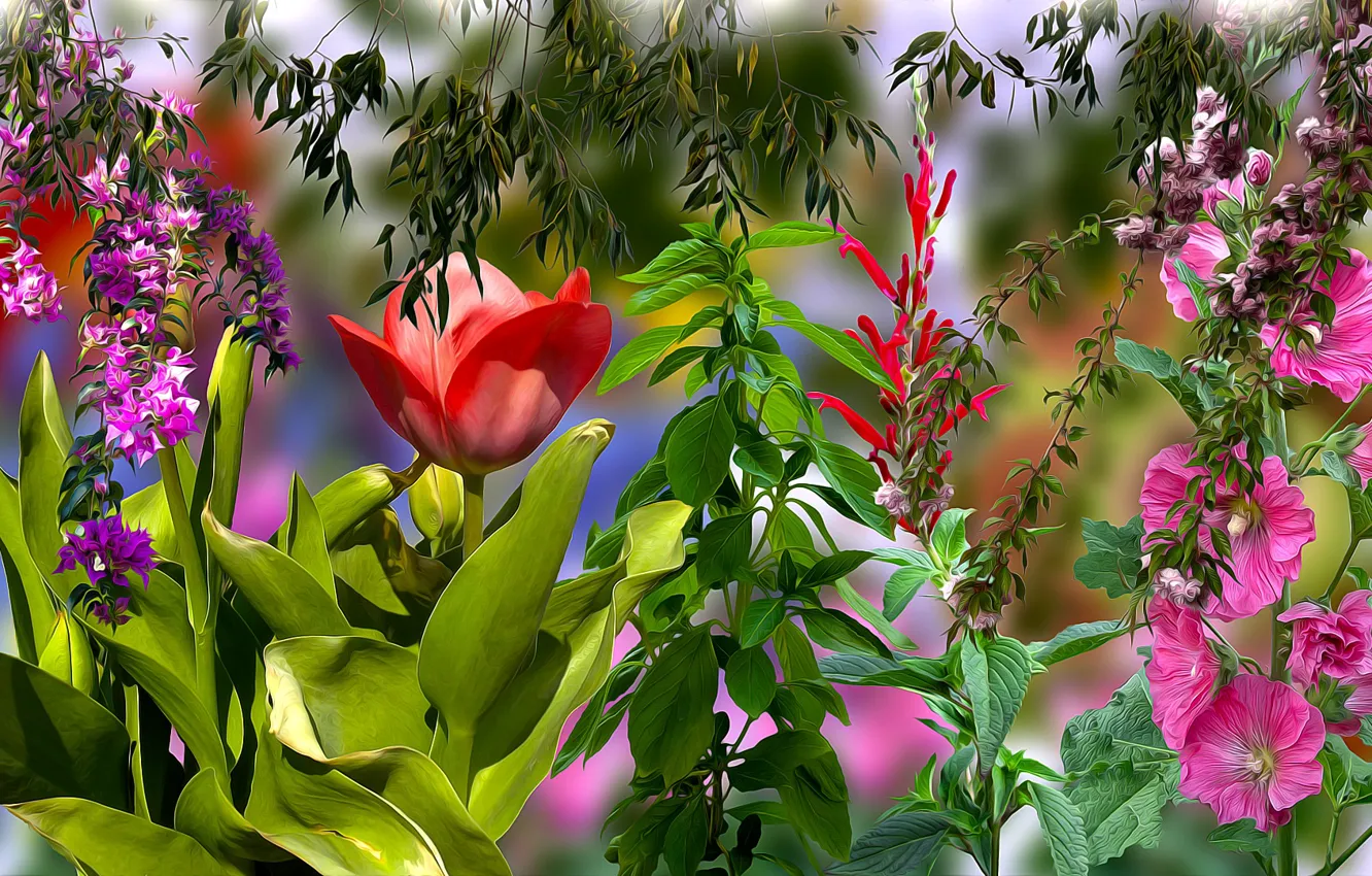 Photo wallpaper Tulipany, Flowers, malwy