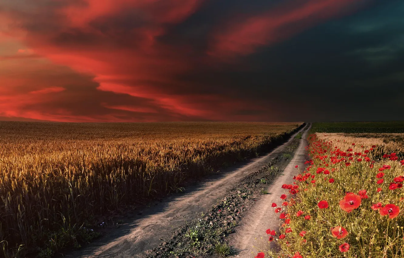 Photo wallpaper road, field, the sky, Maki
