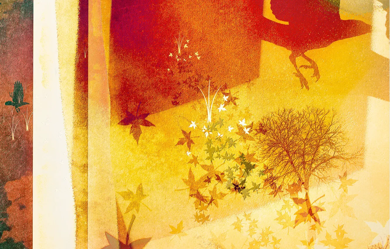 Photo wallpaper background, color, form