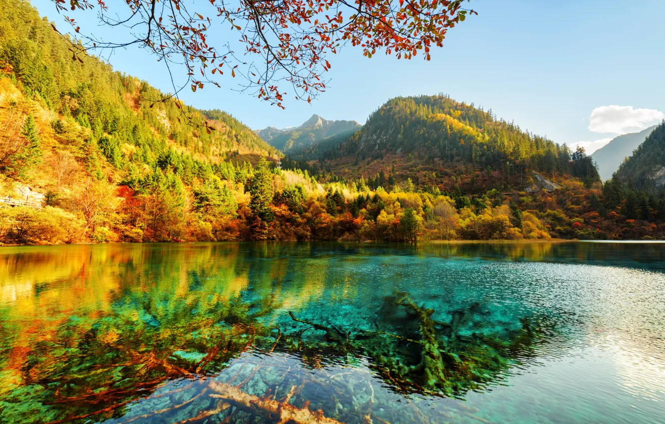 Photo wallpaper autumn, forest, the sky, the sun, trees, mountains, lake, Park