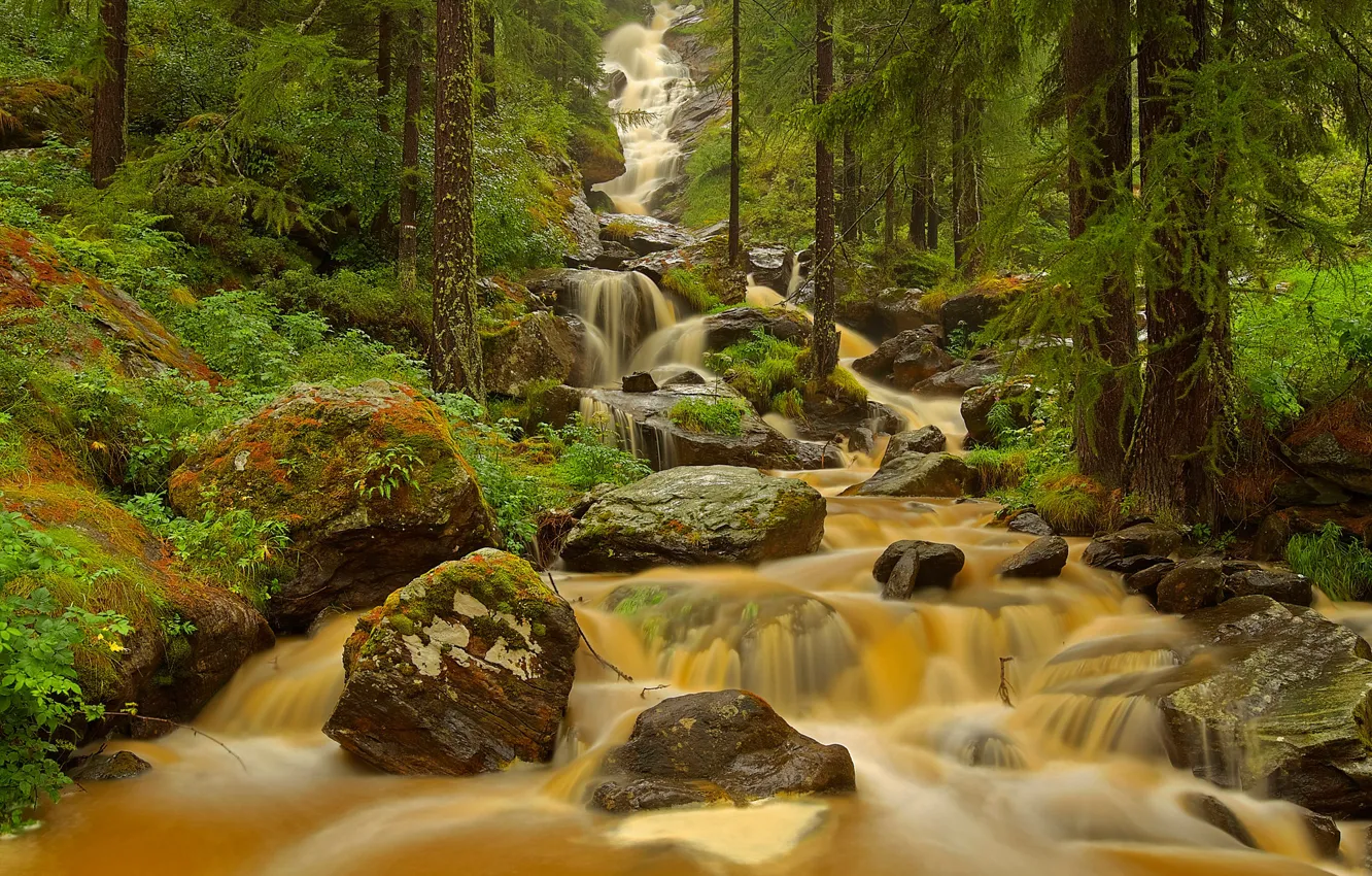 Photo wallpaper forest, trees, river, stones, stream, Italy, Valle d'aosta