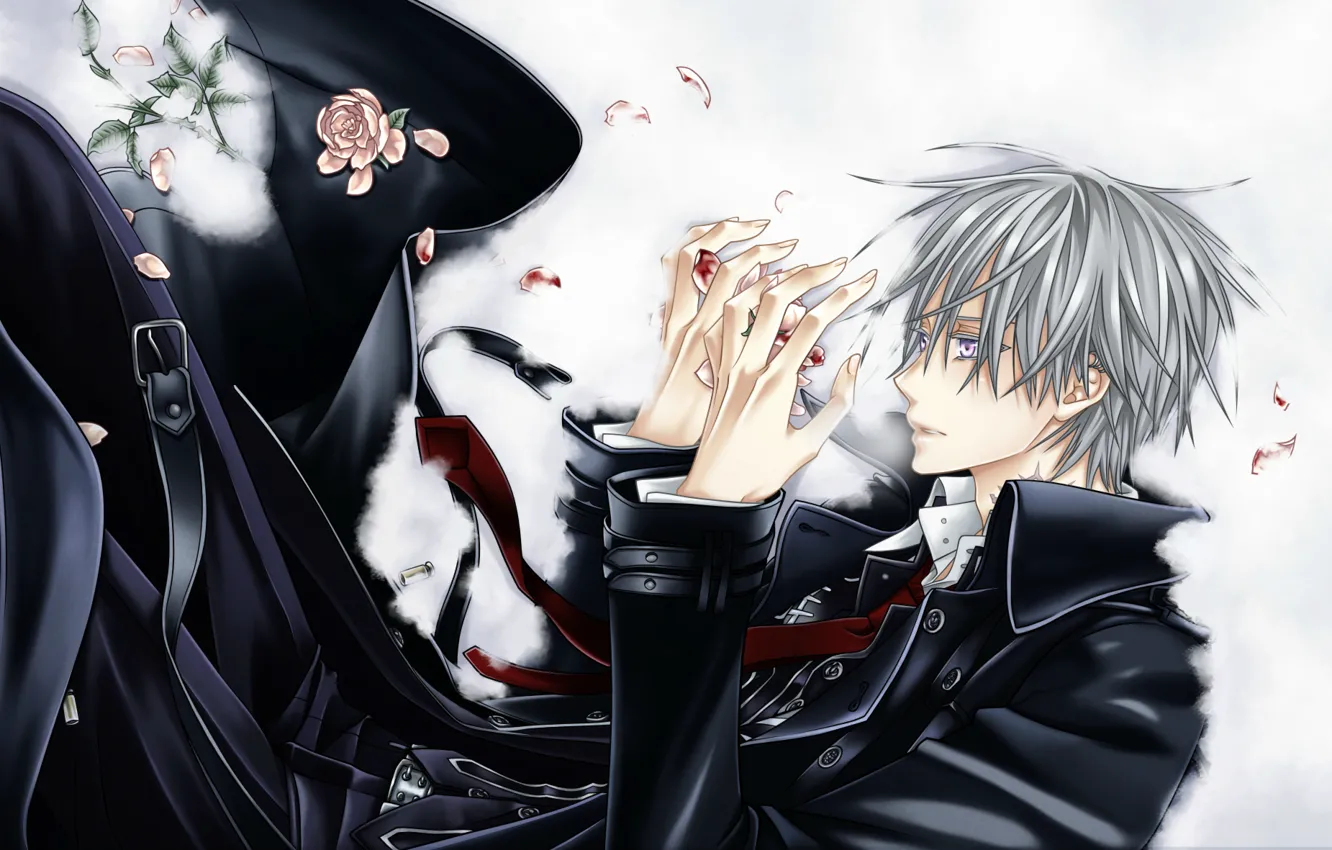 Photo wallpaper snow, blood, petals, lies, cloak, art, vampire knight, matsuri hino
