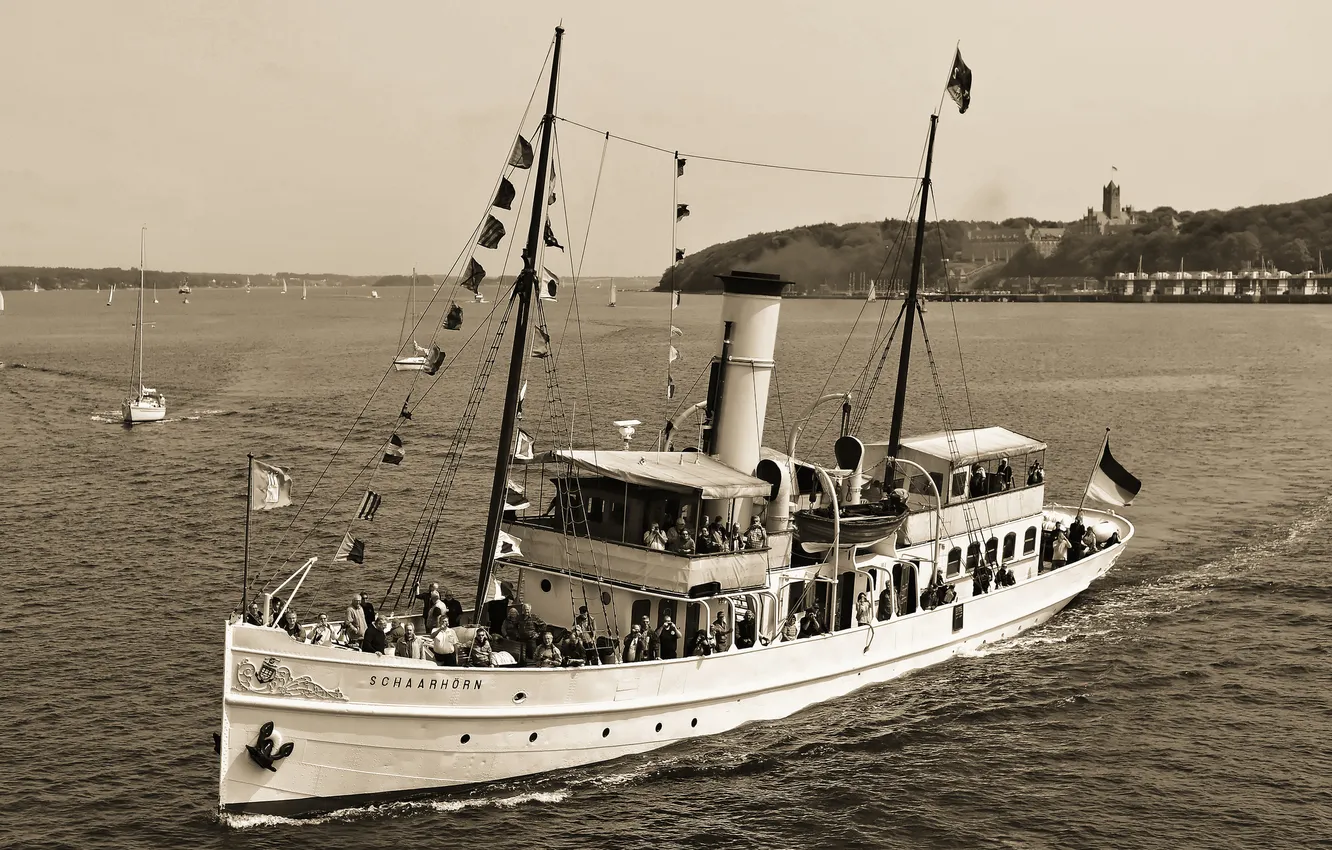 Photo wallpaper steamer, black and white, Schaarhörn
