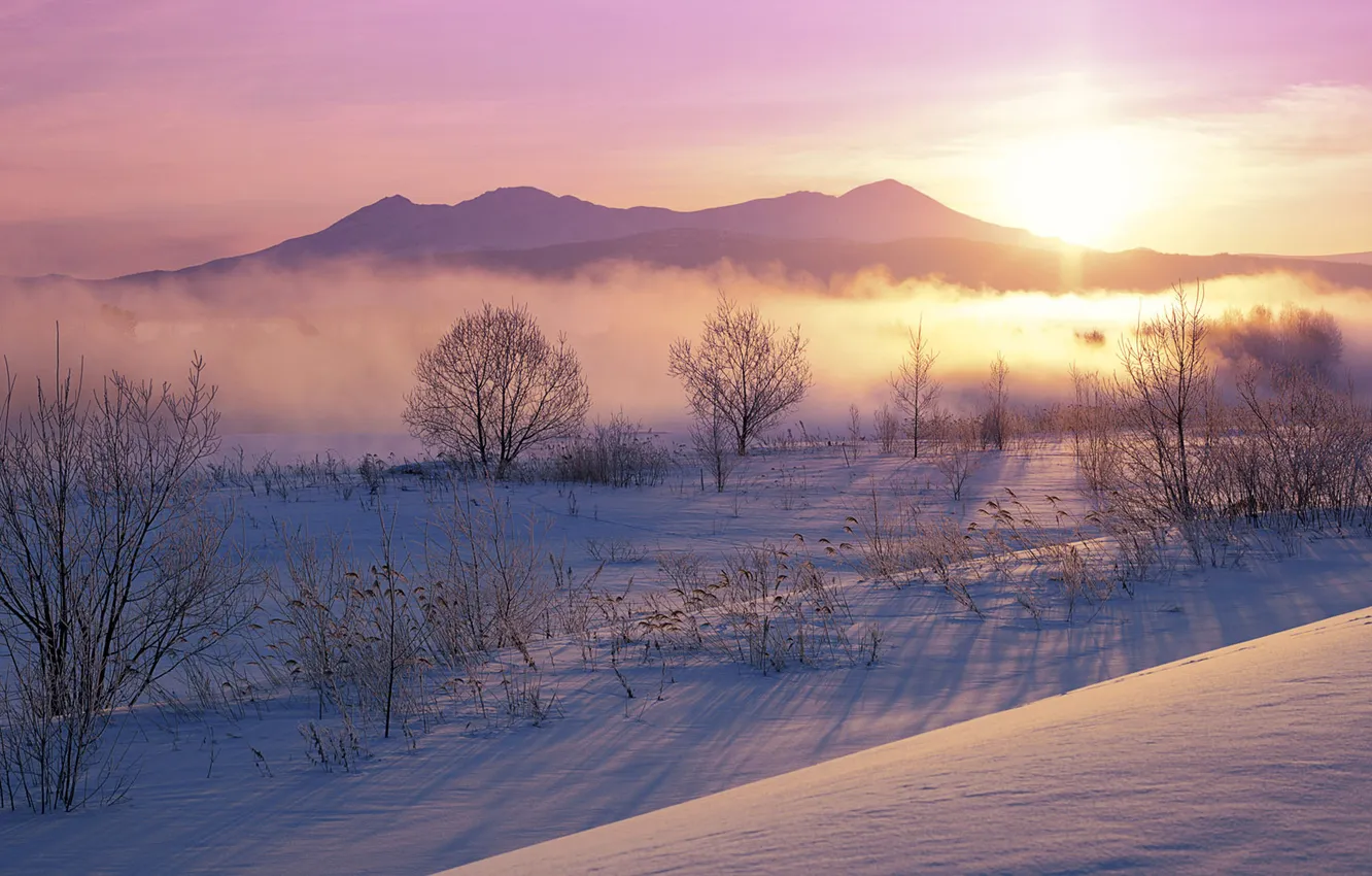 Photo wallpaper winter, snow, sunset, mountains, dawn