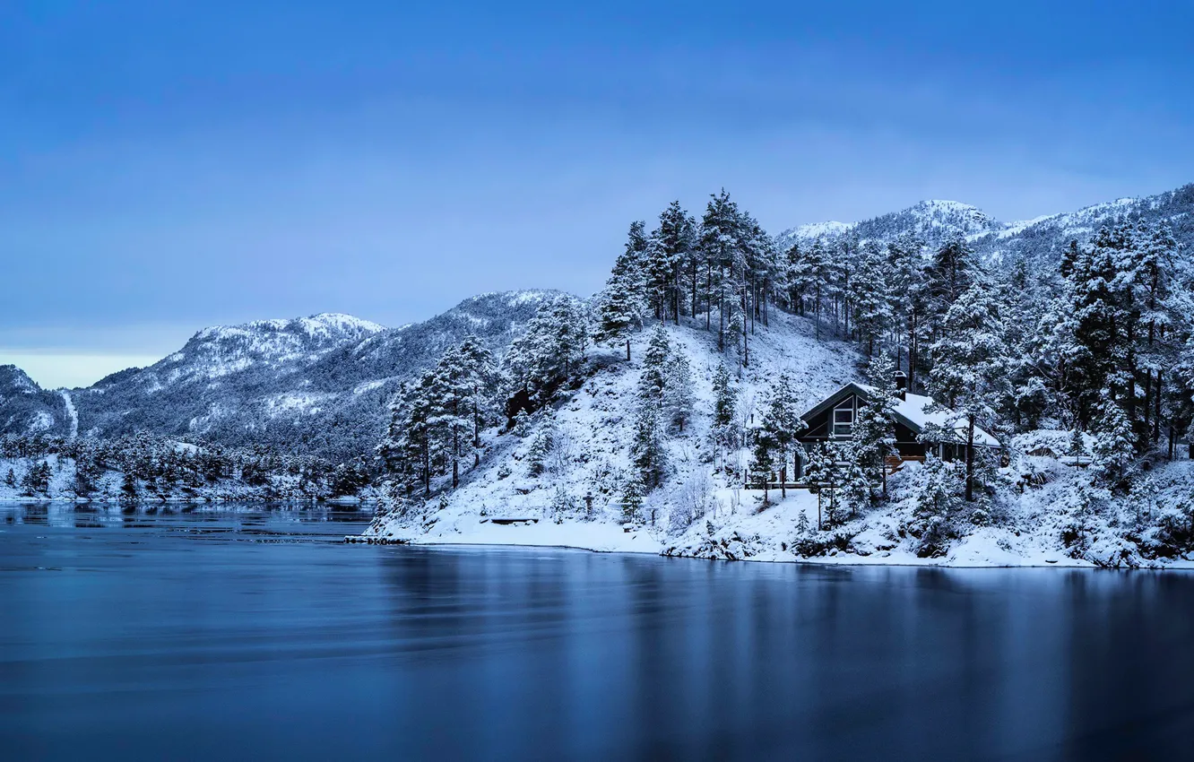 Photo wallpaper winter, the sky, snow, trees, mountains, blue, shore, home