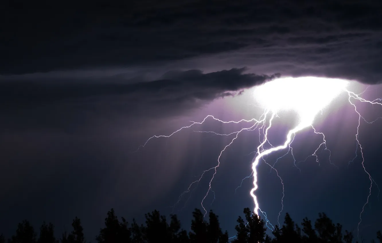 Photo wallpaper the storm, clouds, element, lightning, lightning discharge