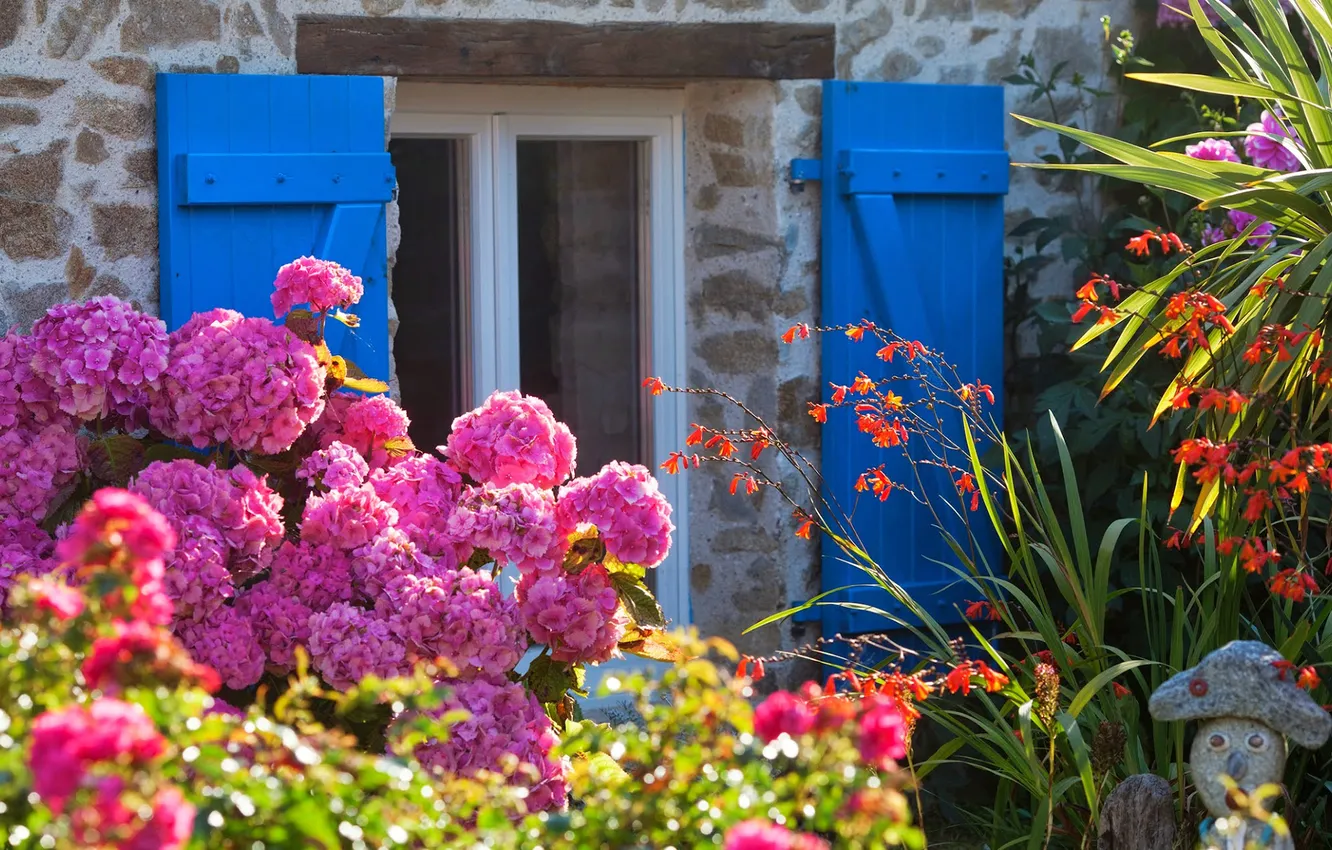 Photo wallpaper summer, flowers, garden, window