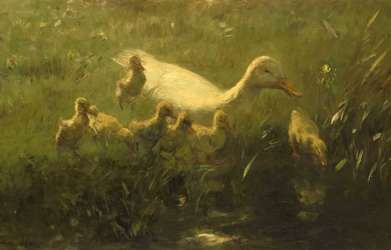 Photo wallpaper birds, oil, picture, canvas, 1910, Willem Maris, Willem Maris, White duck with Chicks