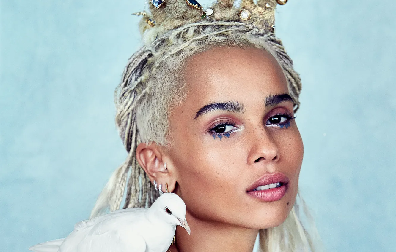 Photo wallpaper bird, dove, actress, Zoe Kravitz