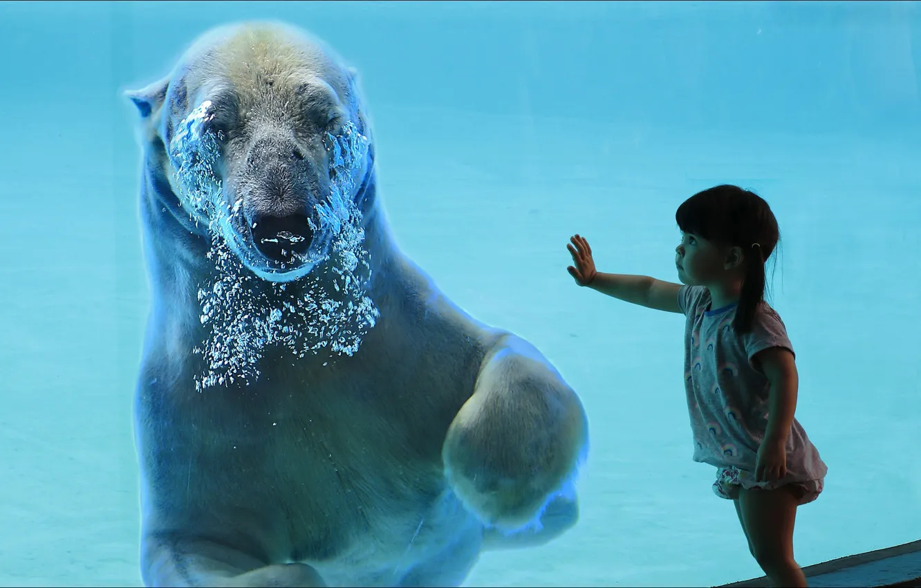 Photo wallpaper emotions, surprise, bear, girl, girl, two, bear, two