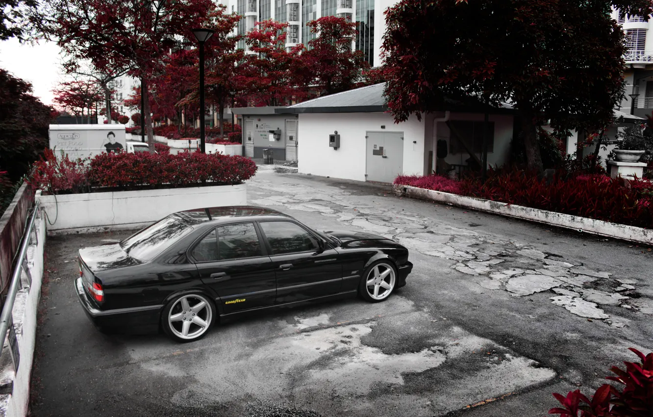 Photo wallpaper machine, BMW, yard, Bmw, e34