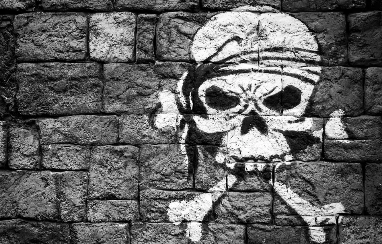 Photo wallpaper wall, figure, skull, bones