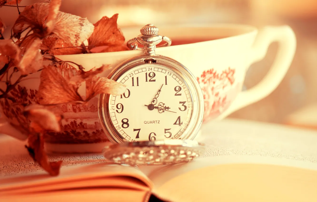 Photo wallpaper leaves, time, watch, Cup, book, dial, leaves, cup