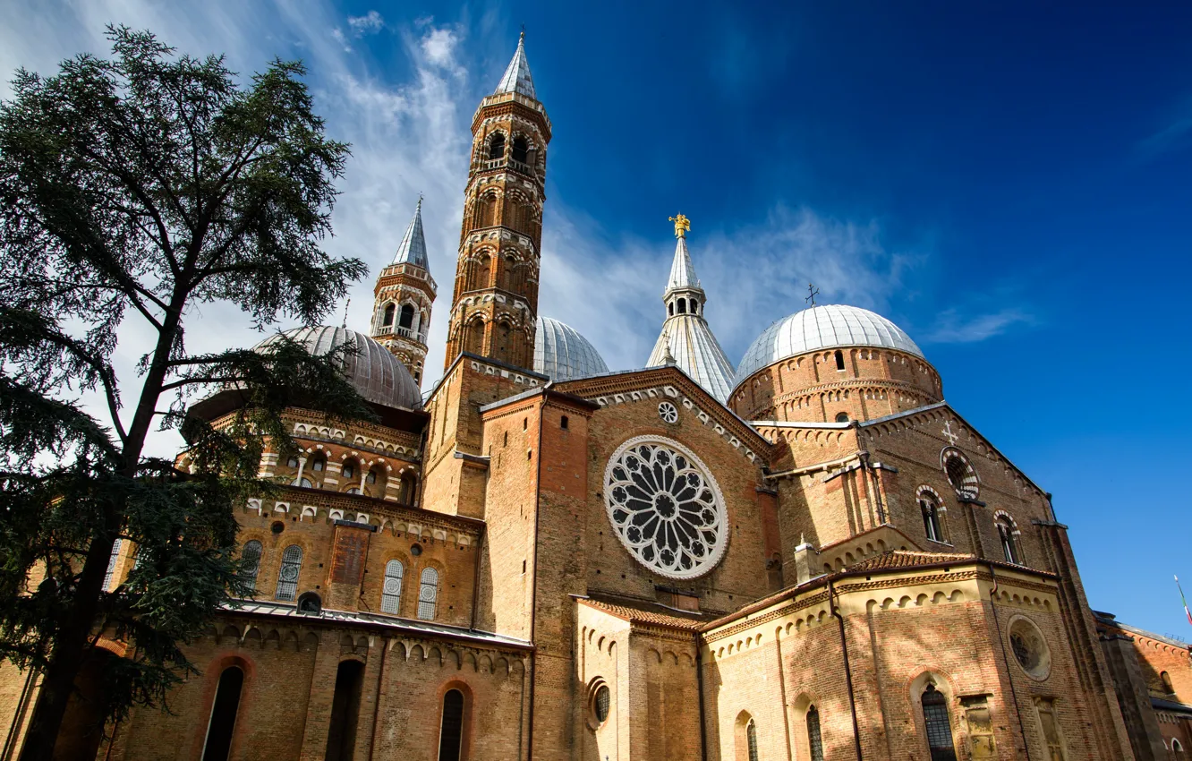 Photo wallpaper Italy, Padova, Cathedral Of St. Anthony