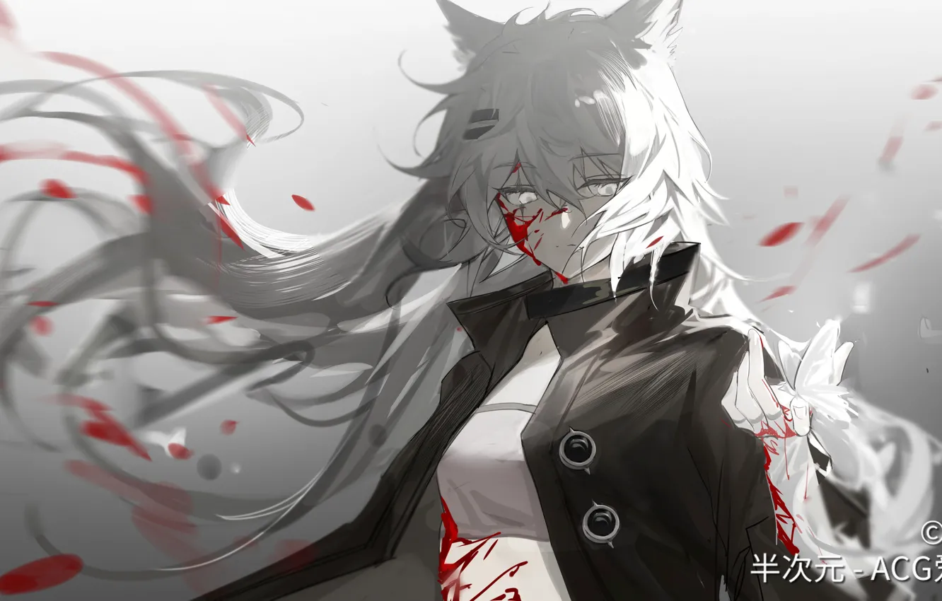 Photo wallpaper Arknights, blood, girl, Lapland