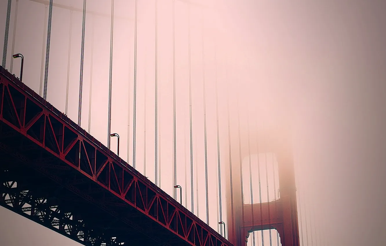 Photo wallpaper bridge, the city, fog