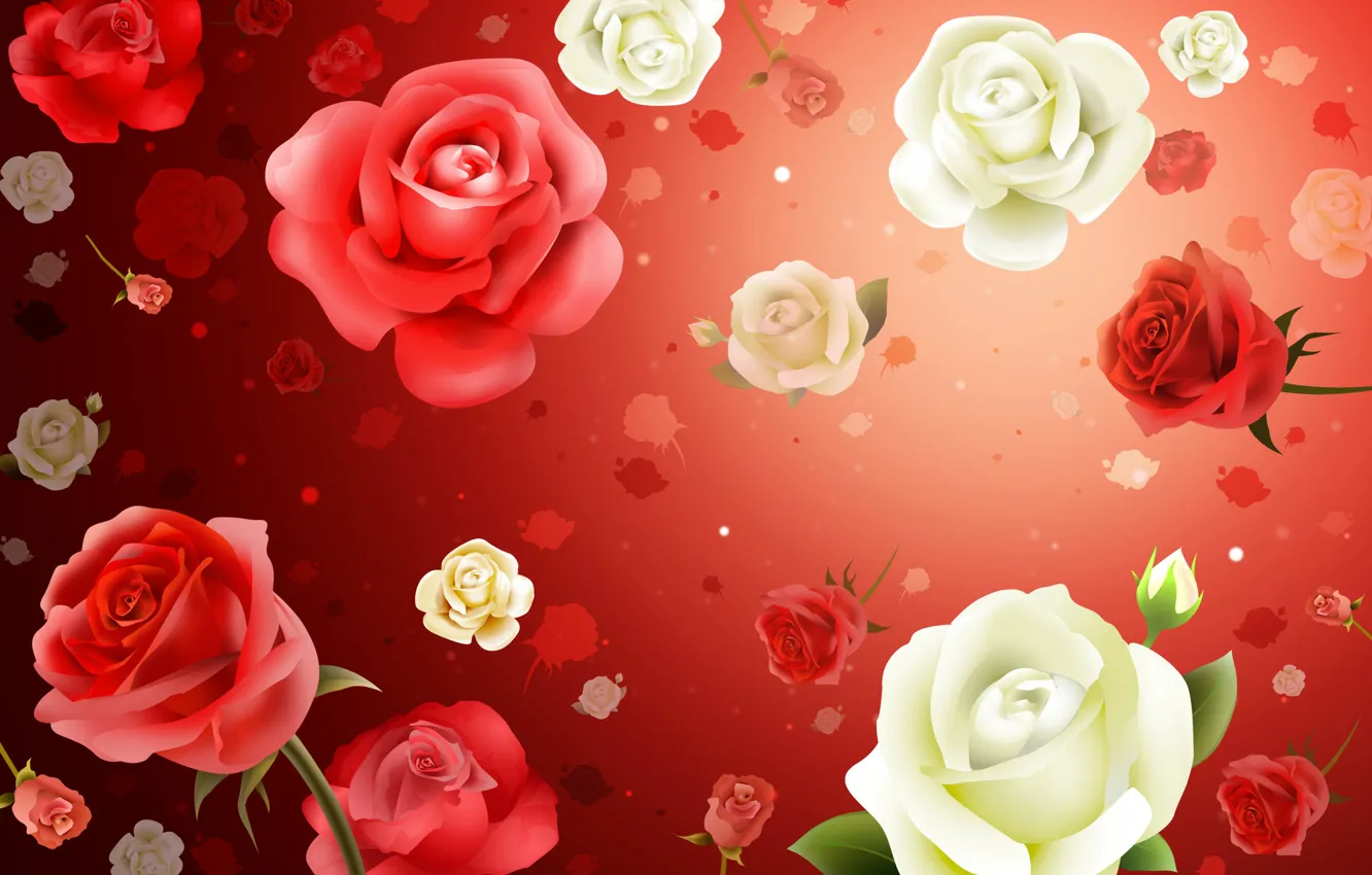 Photo wallpaper flowers, background, Wallpaper, roses