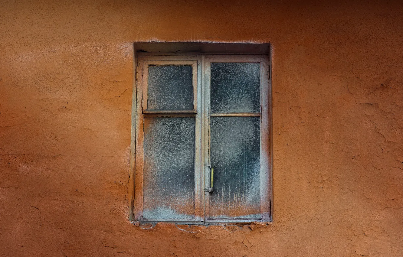 Photo wallpaper wall, color, window