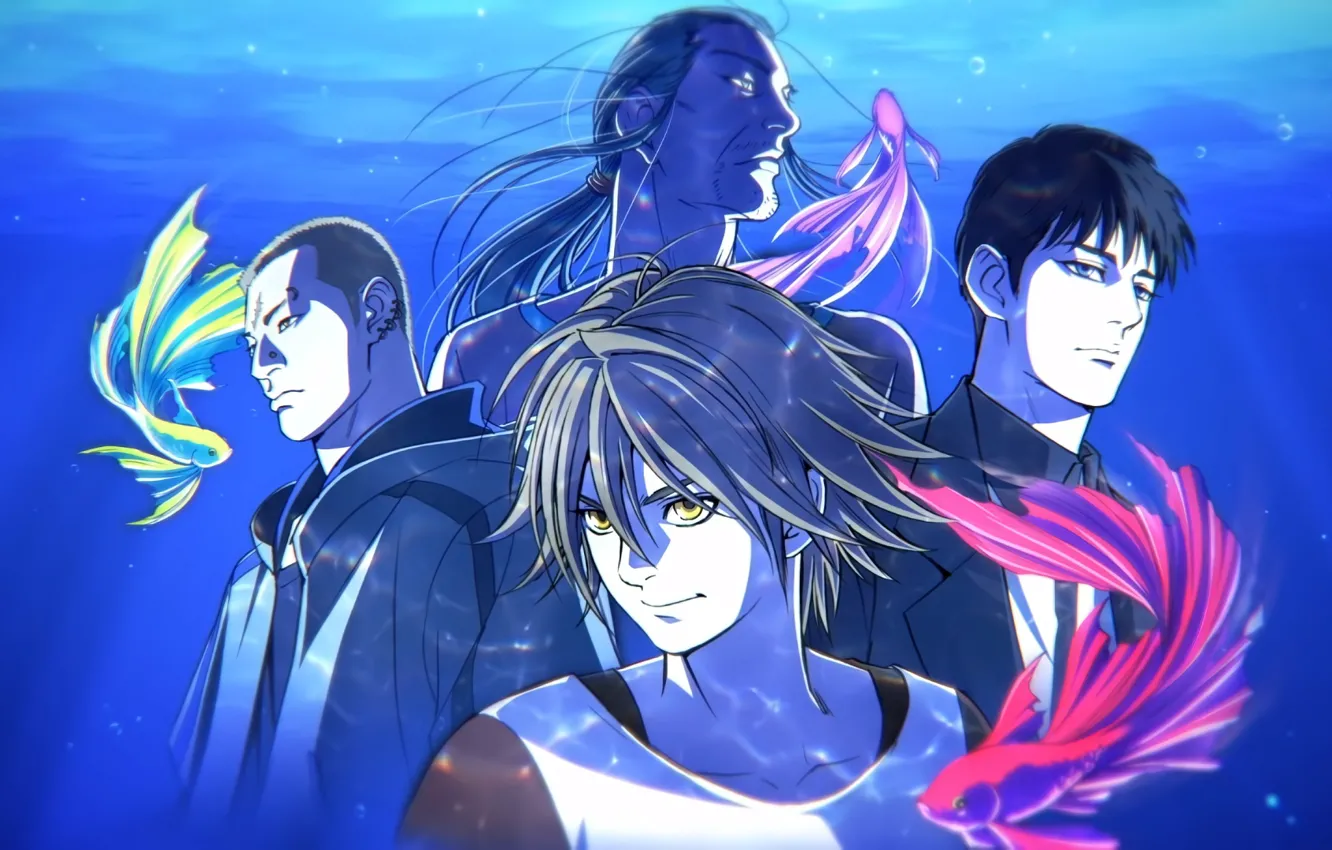 Photo wallpaper fish, fish, guy, pet