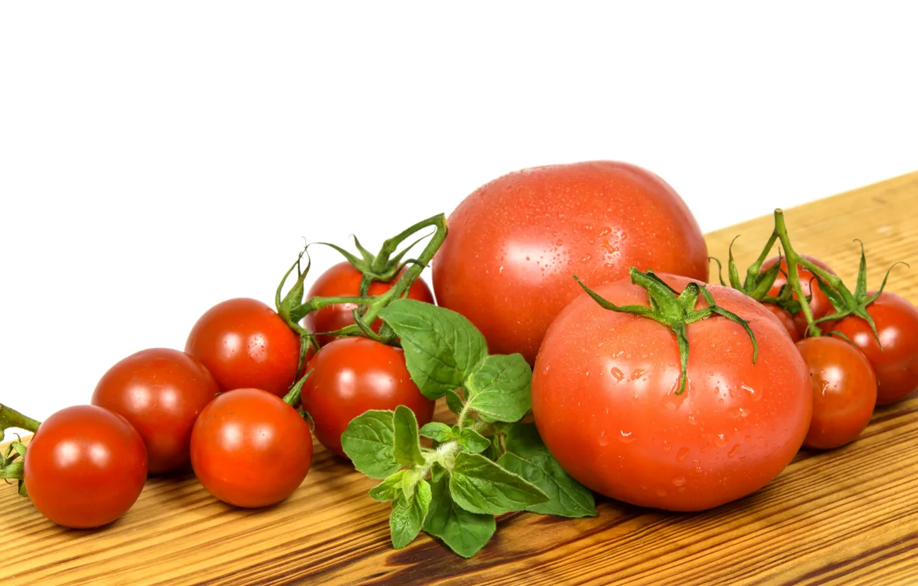 Photo wallpaper tomatoes, tomatoes, Basil