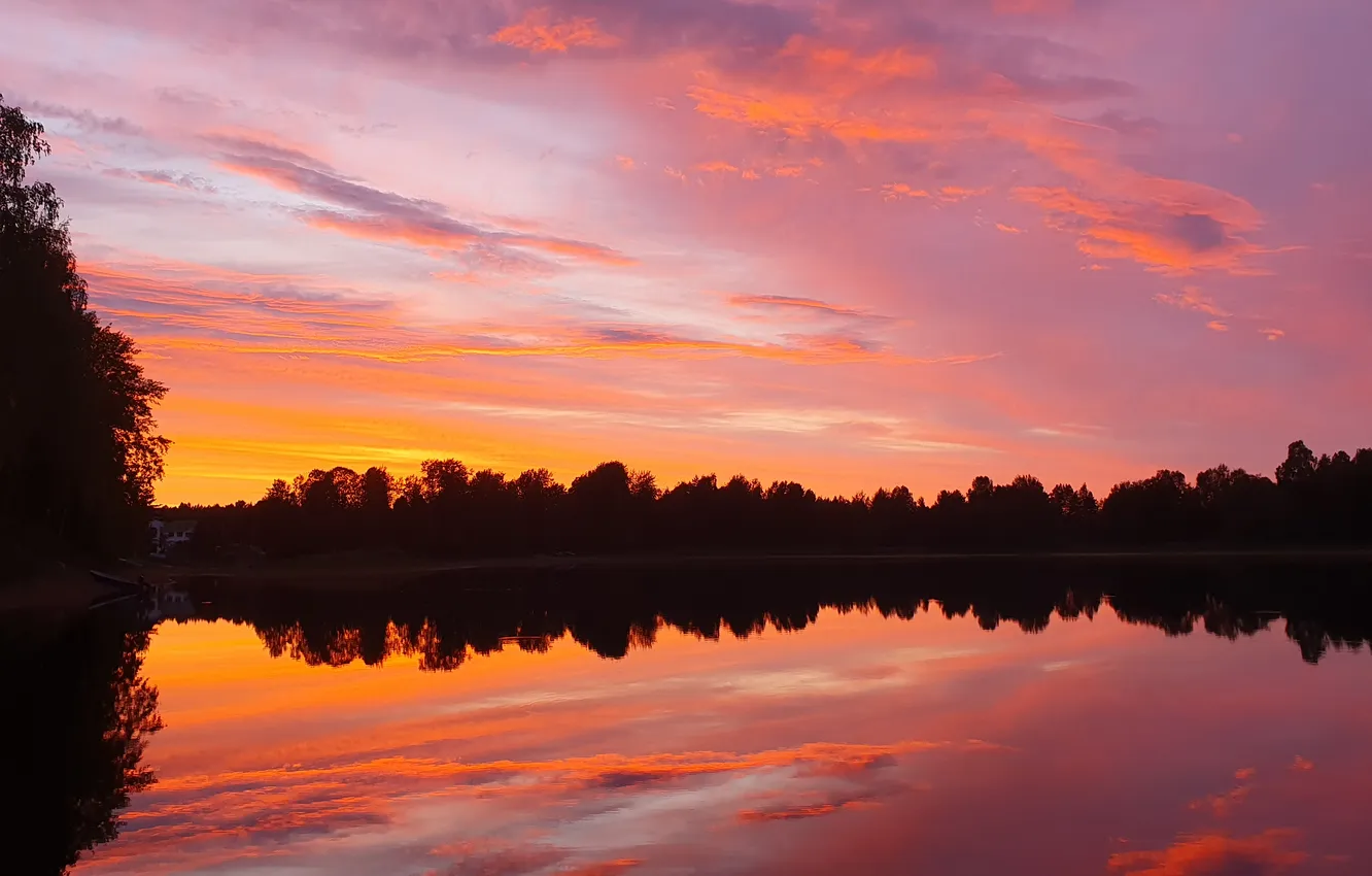 Photo wallpaper forest, the sky, clouds, trees, landscape, sunset, nature, lake