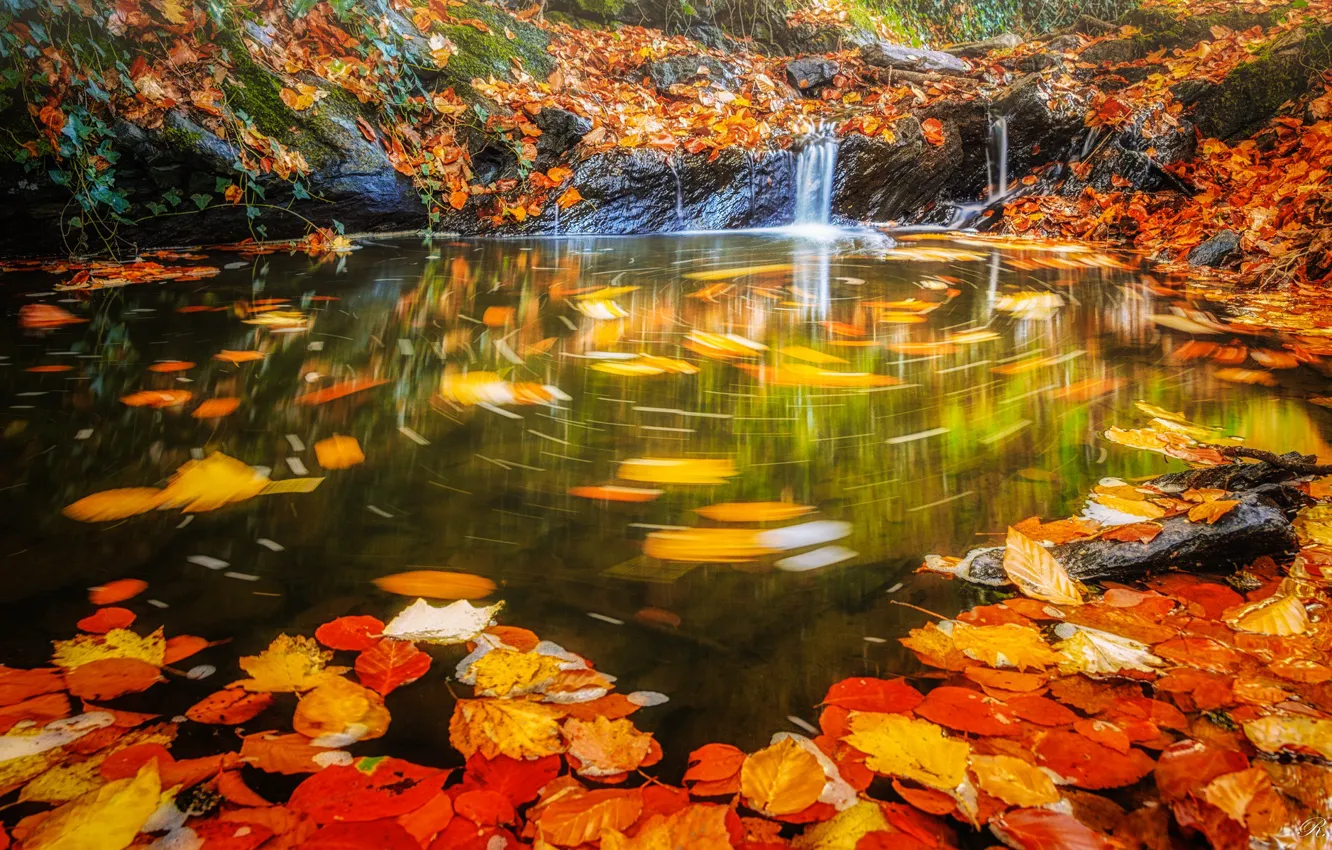 Photo wallpaper autumn, leaves, water, waterfall, stream