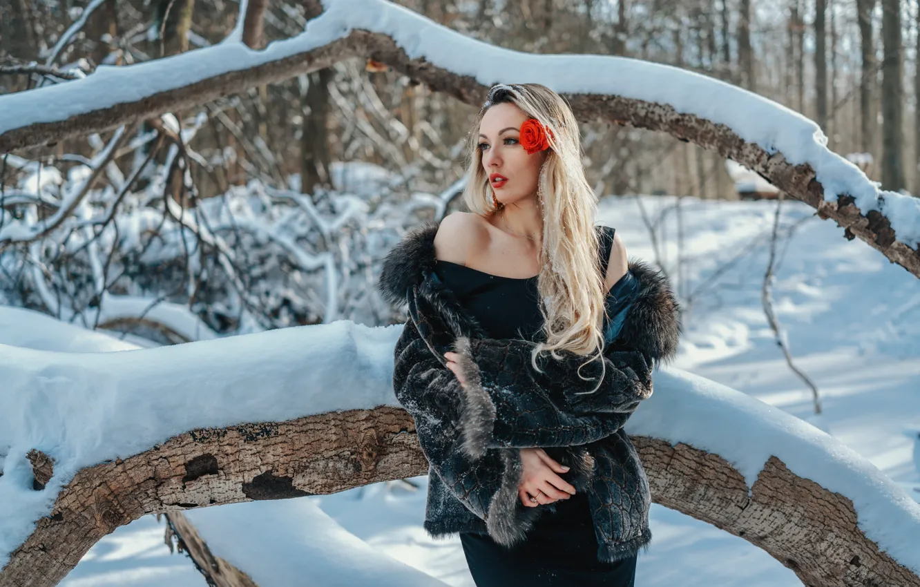 Photo wallpaper winter, flower, girl, snow, nature, pose, blonde, shoulder