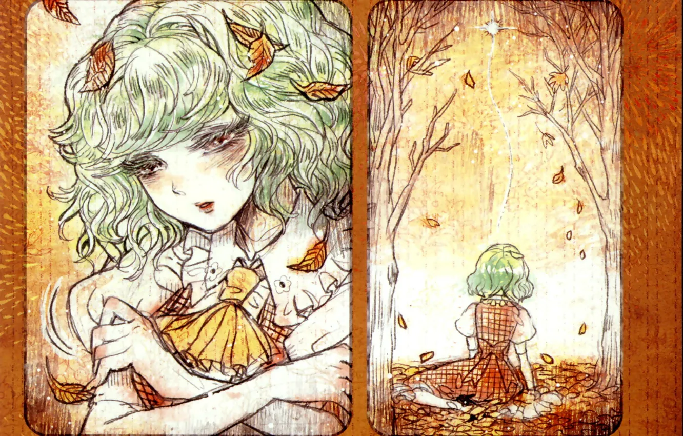 Photo wallpaper sadness, face, loneliness, bow, falling leaves, touhou, autumn leaves, white blouse