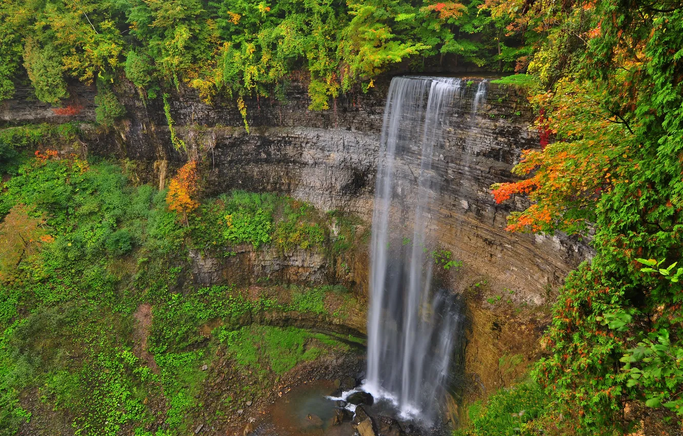 Photo wallpaper autumn, leaves, trees, rocks, waterfall