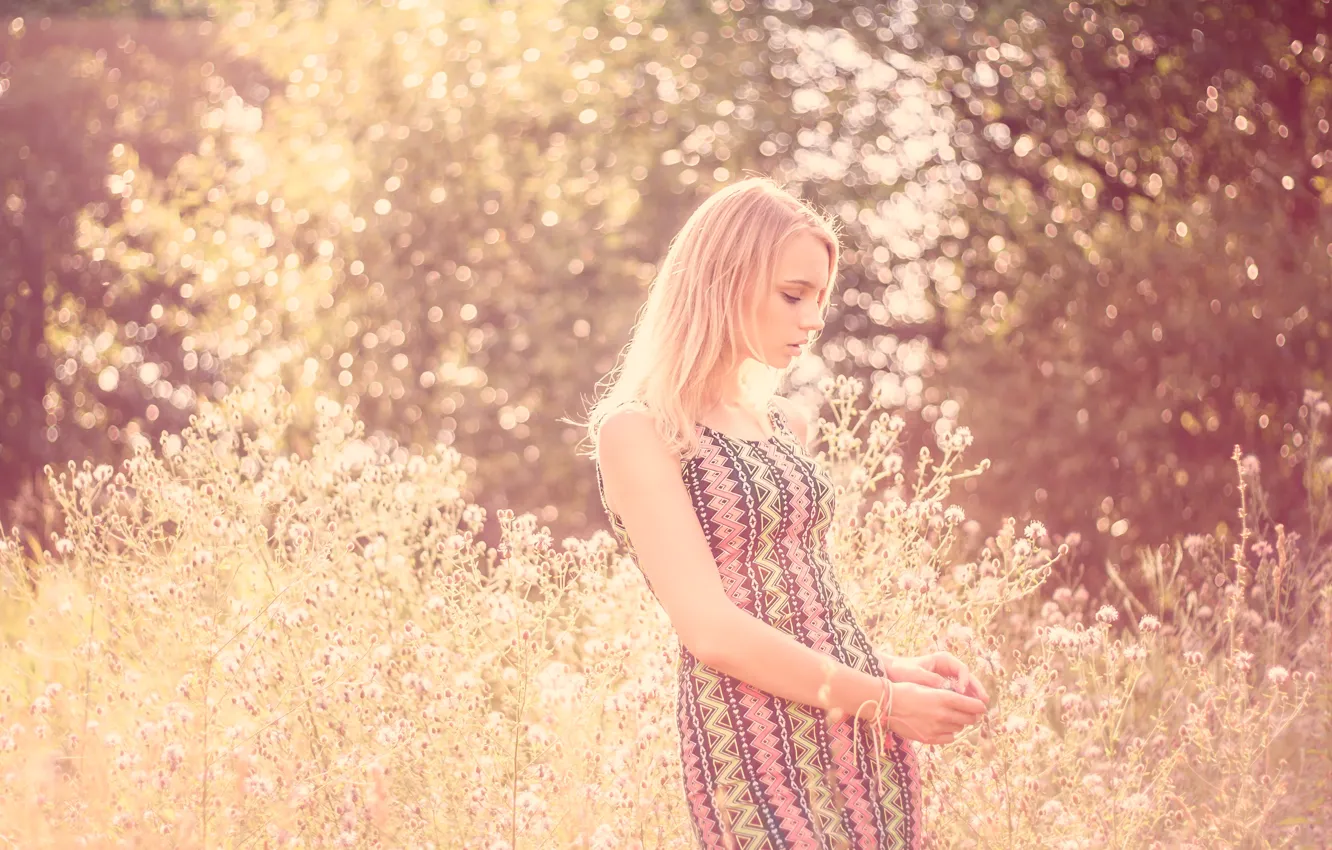 Photo wallpaper girl, nature, pose, dress, blonde