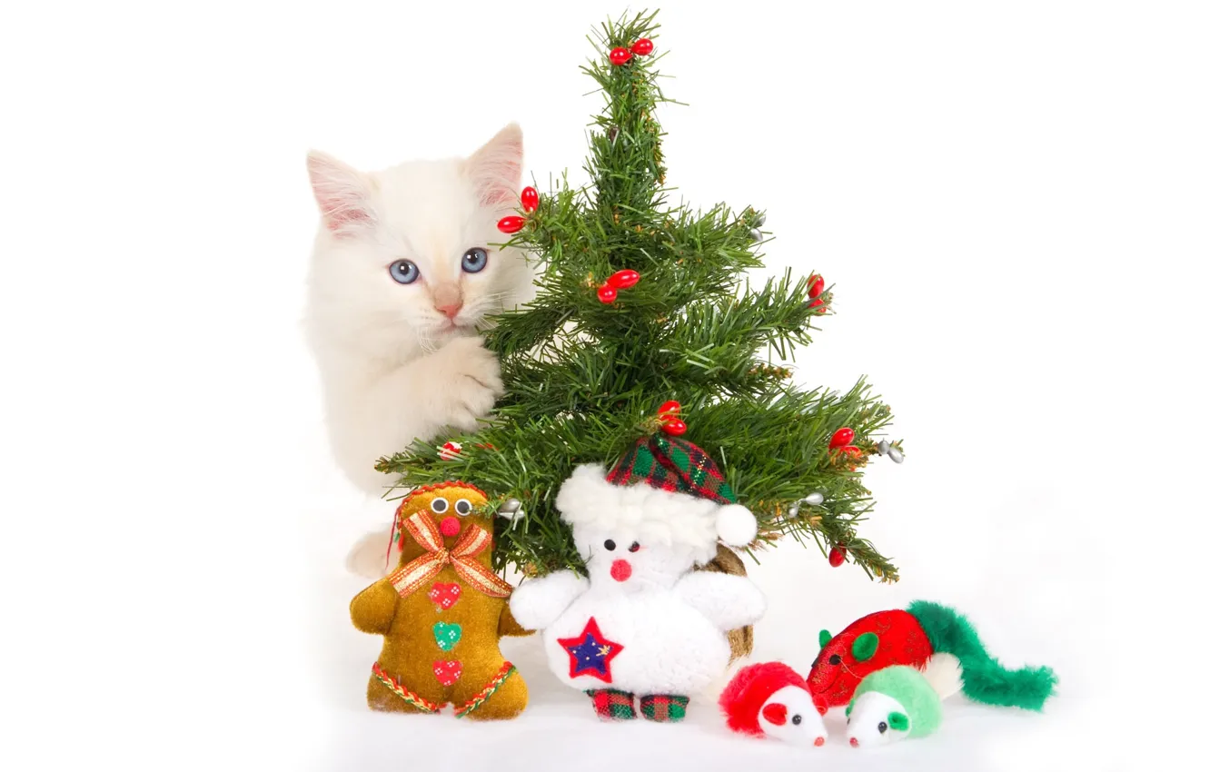 Photo wallpaper kitty, toys, tree, white background, Souvenirs