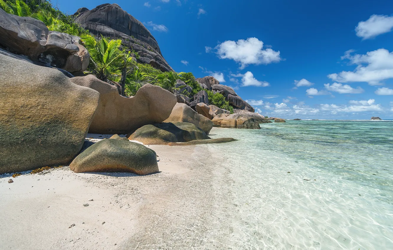 Photo wallpaper sea, beach, nature, tropics, palm trees, coast