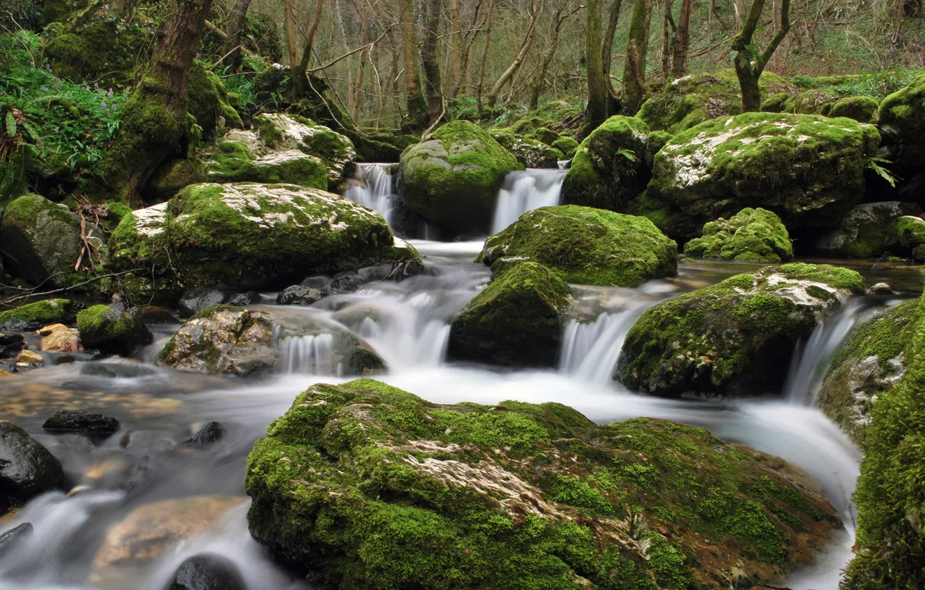 Photo wallpaper water, stream, stones