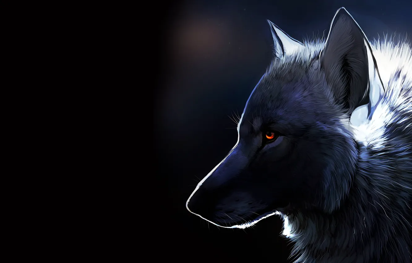 Photo wallpaper look, animal, wolf, art, profile