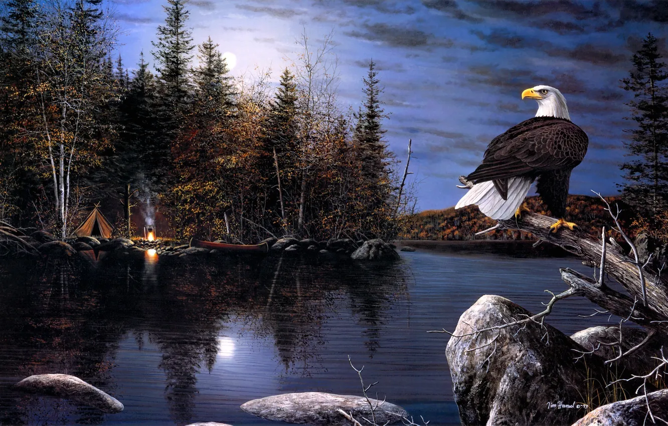 Photo wallpaper autumn, night, river, eagle, the moon, boat, the fire, tent