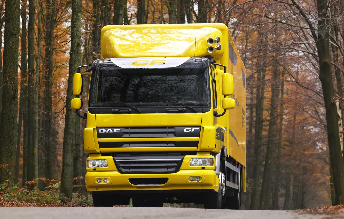 Photo wallpaper road, autumn, trees, yellow, van, DAF, DAF, platform