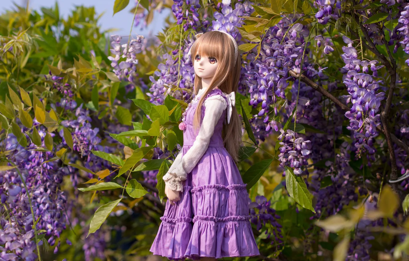 Photo wallpaper lilac, doll, Wisteria