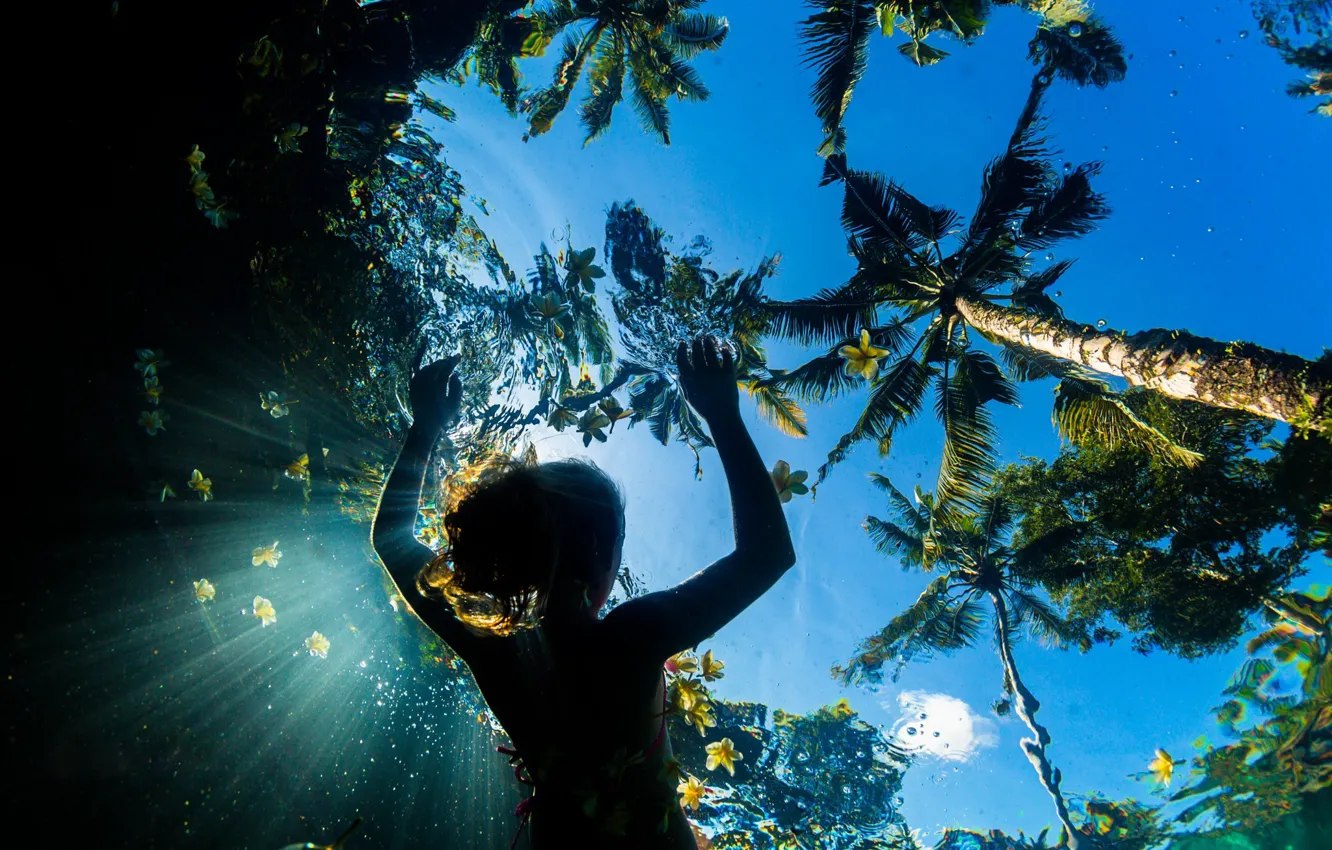 Photo wallpaper sea, summer, the sky, water, girl, light, flowers, palm trees