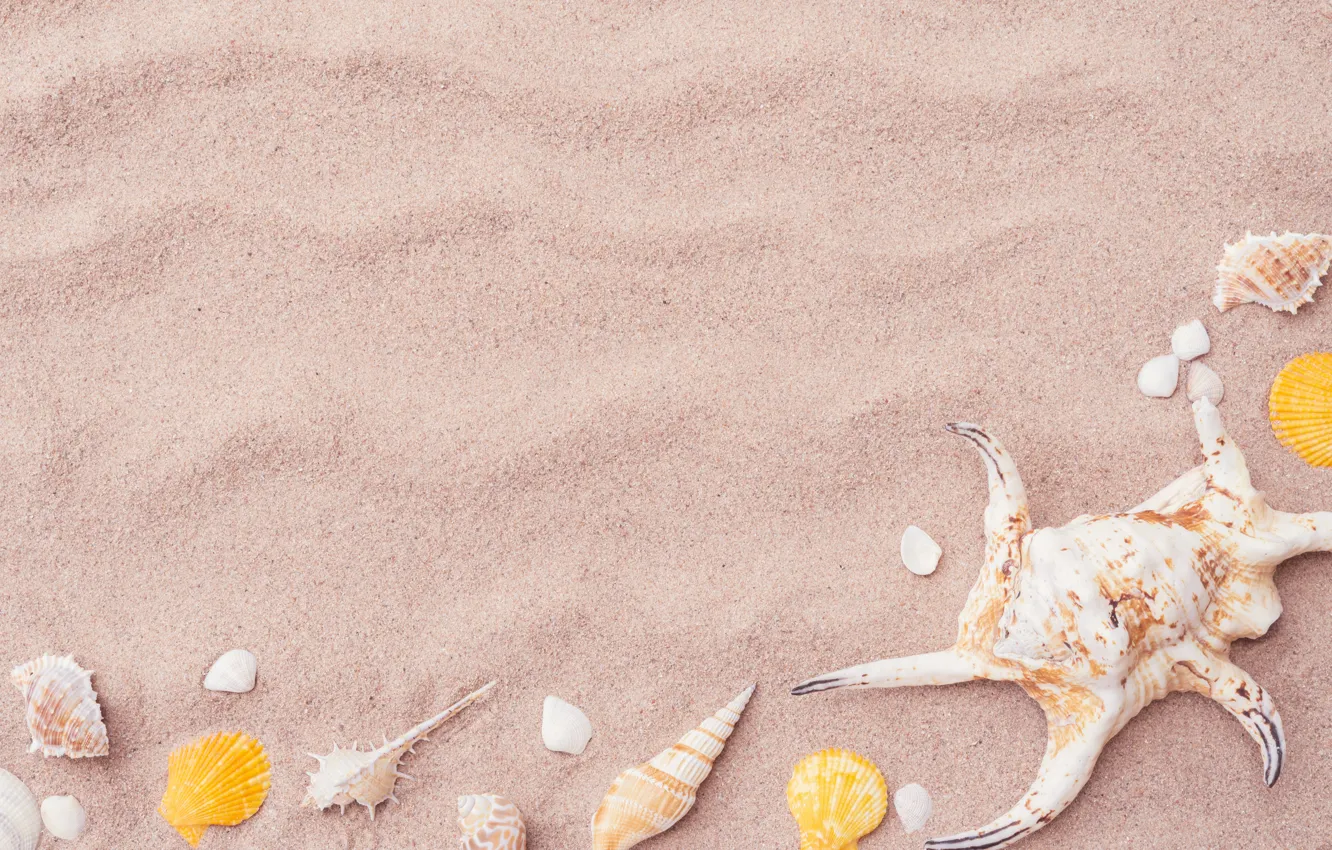 Photo wallpaper sand, beach, stars, shell, summer, beach, sand, marine