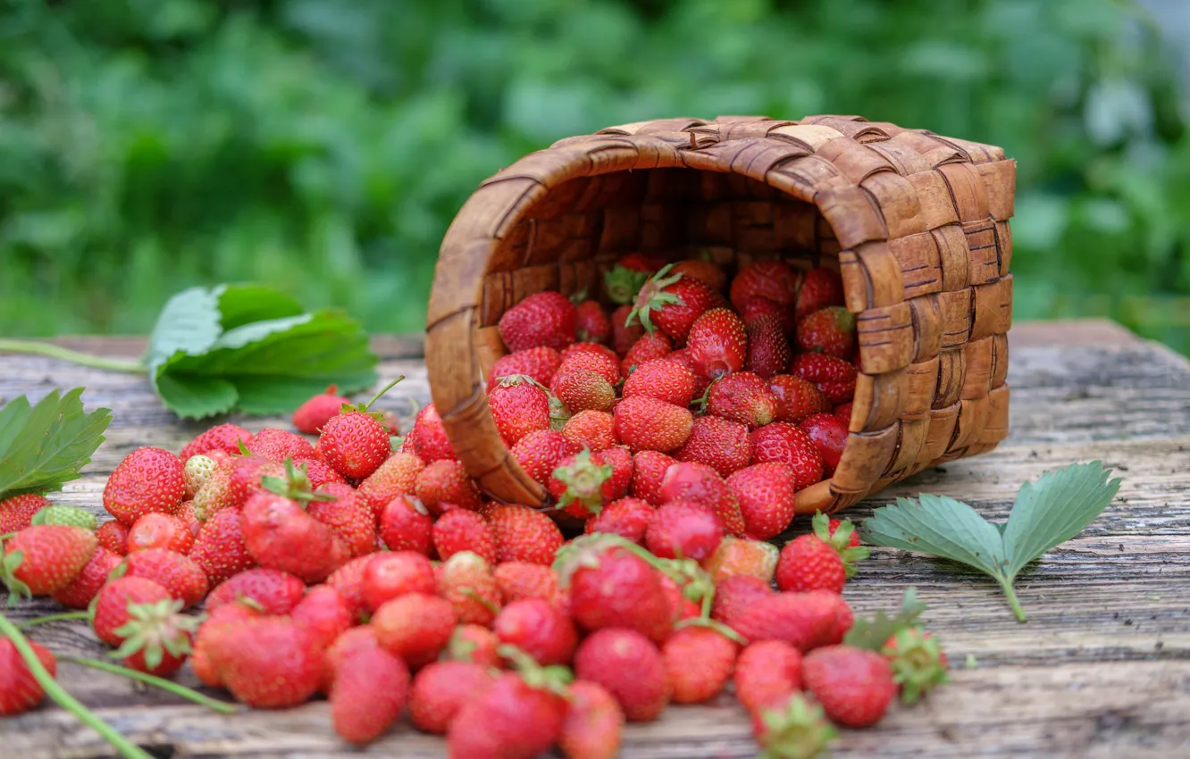 Photo wallpaper berries, basket, strawberries