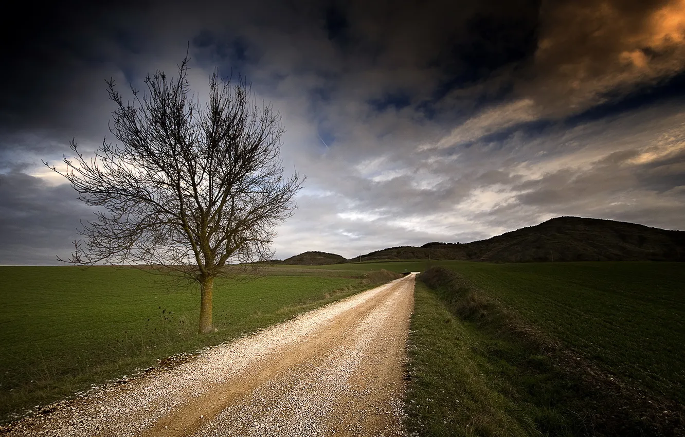 Photo wallpaper road, field, trees, landscape