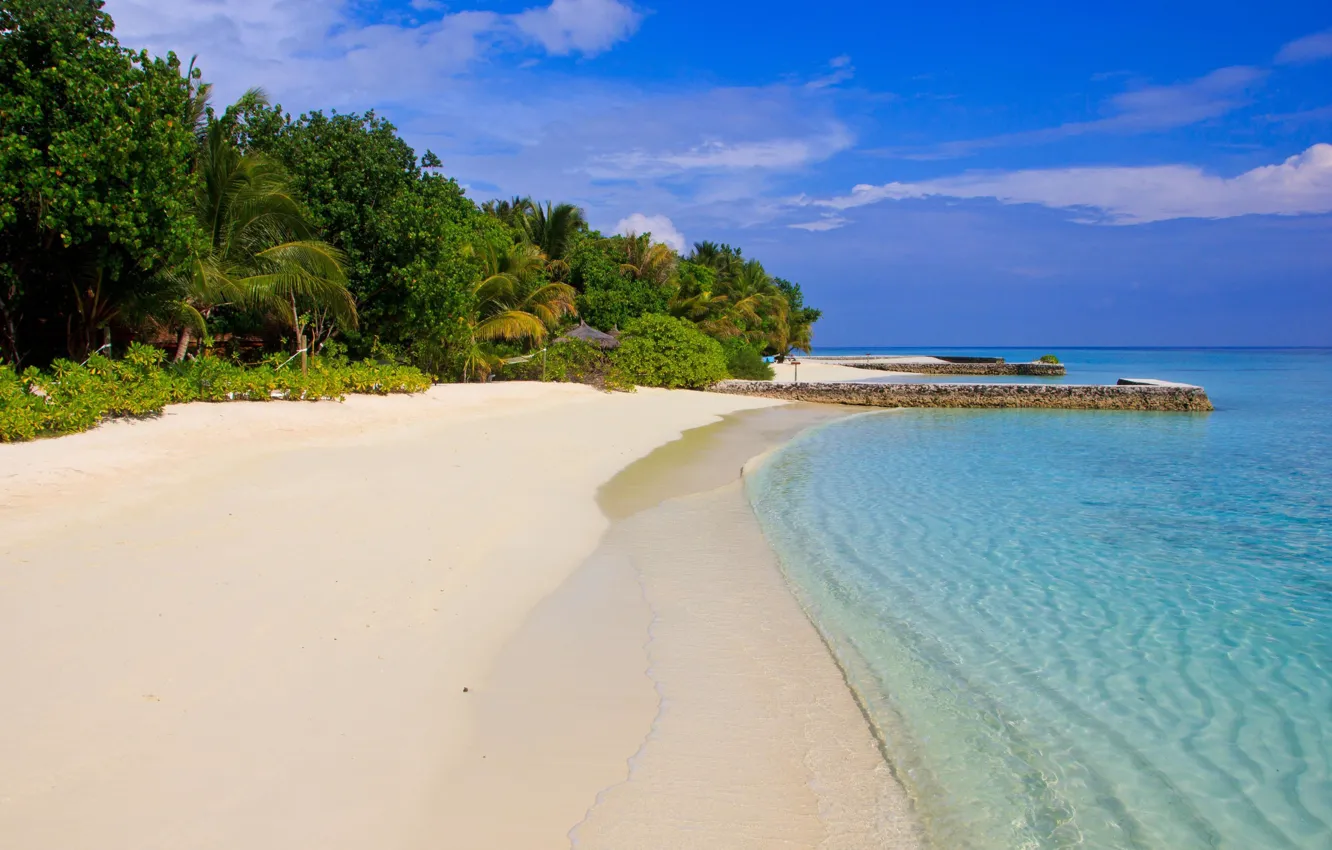 Photo wallpaper beach, tropics, palm trees, the ocean, pier, The Maldives, resort, exotic