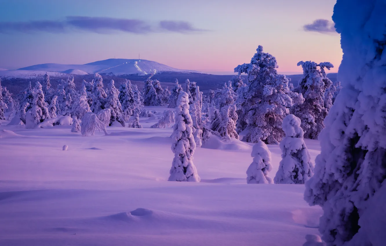 Photo wallpaper winter, snow, trees, the snow, Finland, Finland, Lapland, Lapland