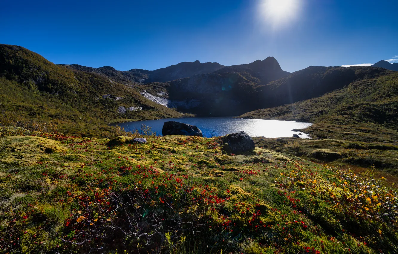 Photo wallpaper mountains, lake, Norway, The Lofoten Islands