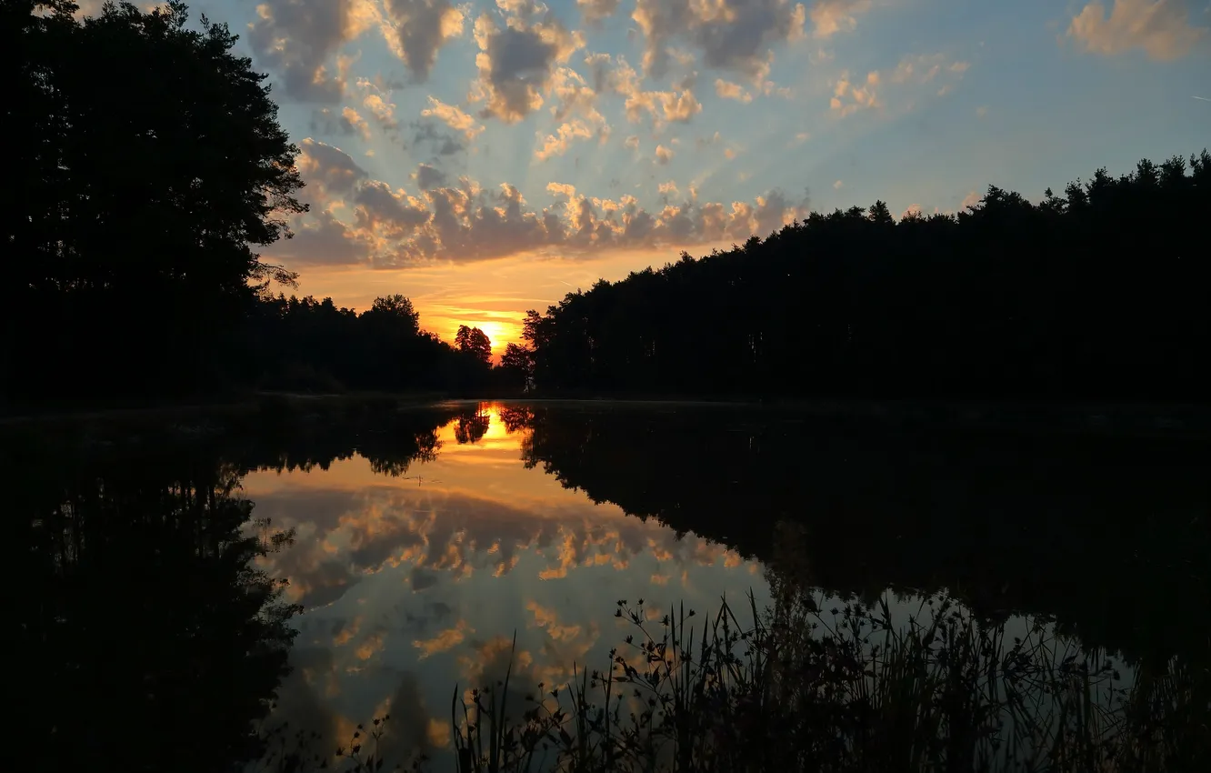 Photo wallpaper forest, landscape, sunset, reflection, river
