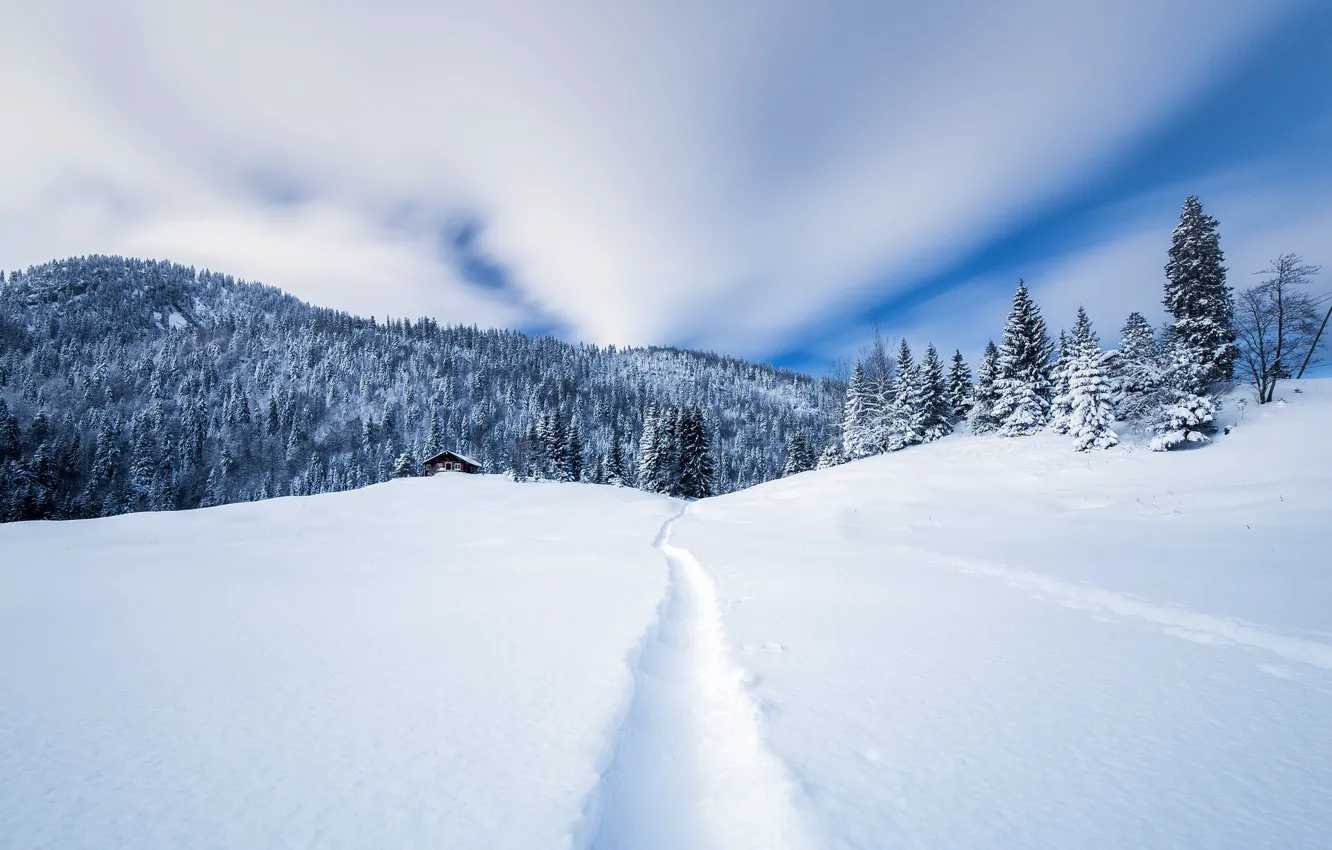 Photo wallpaper winter, forest, snow, mountains, home, trail