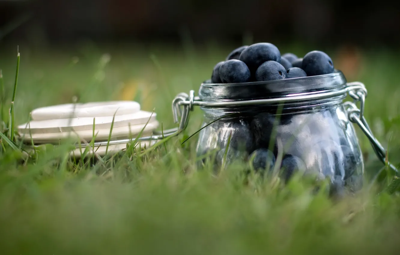 Photo wallpaper macro, berries, blueberries, Bank