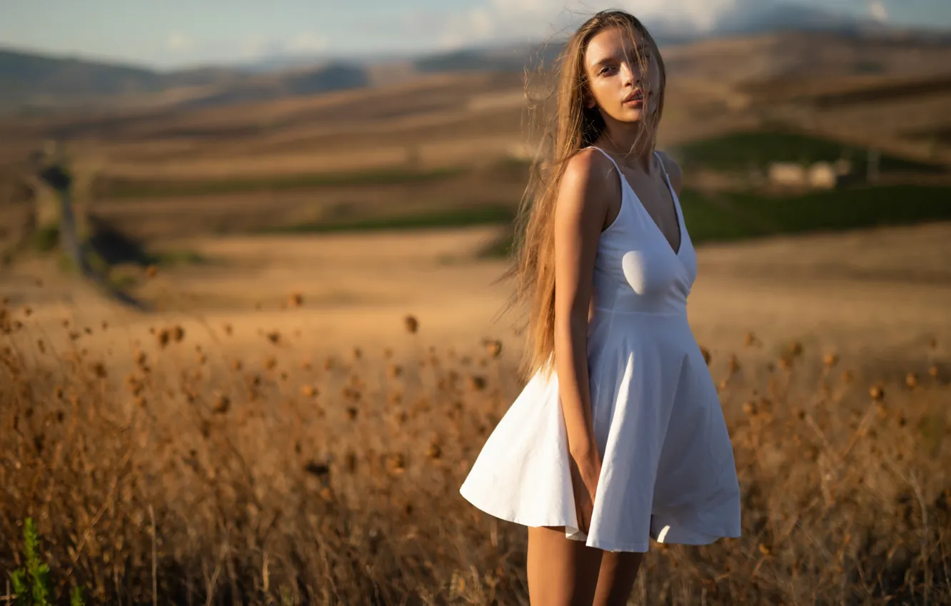 Photo wallpaper Alina, golden, nature, fields, bokeh, plants, countryside, posing
