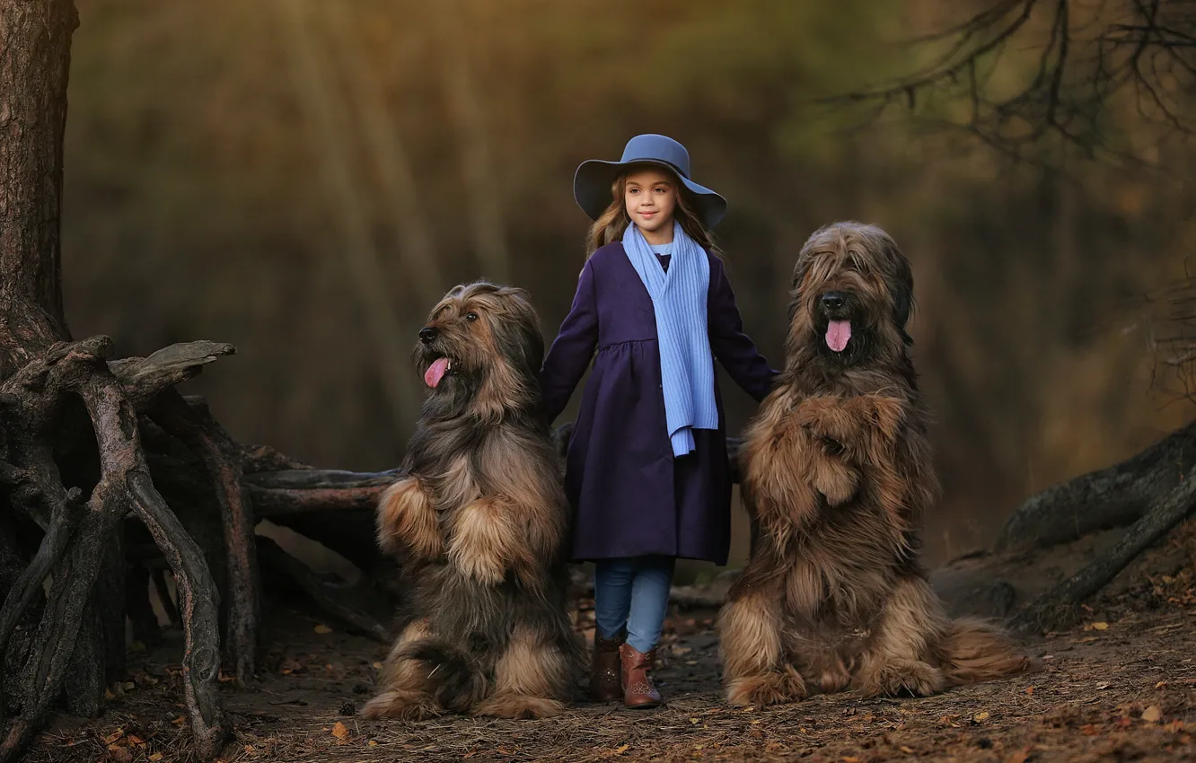 Photo wallpaper dogs, hat, scarf, girl, Anastasia Barmina